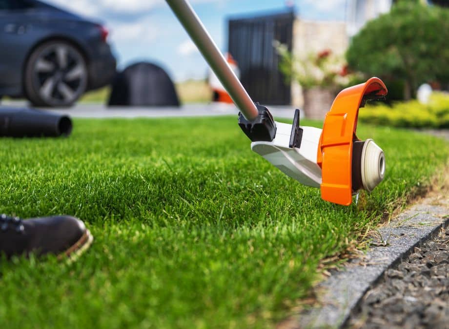 Simple Ways to Keep Your Garden and Driveway Weed-Free